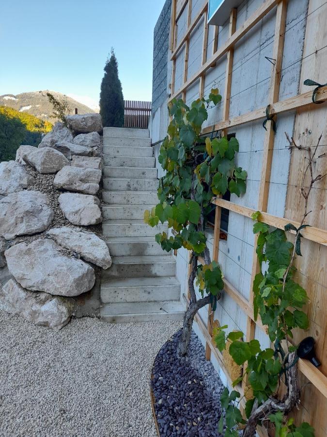 巴德伊舍Auszeit Am Weinbuehel公寓 外观 照片
